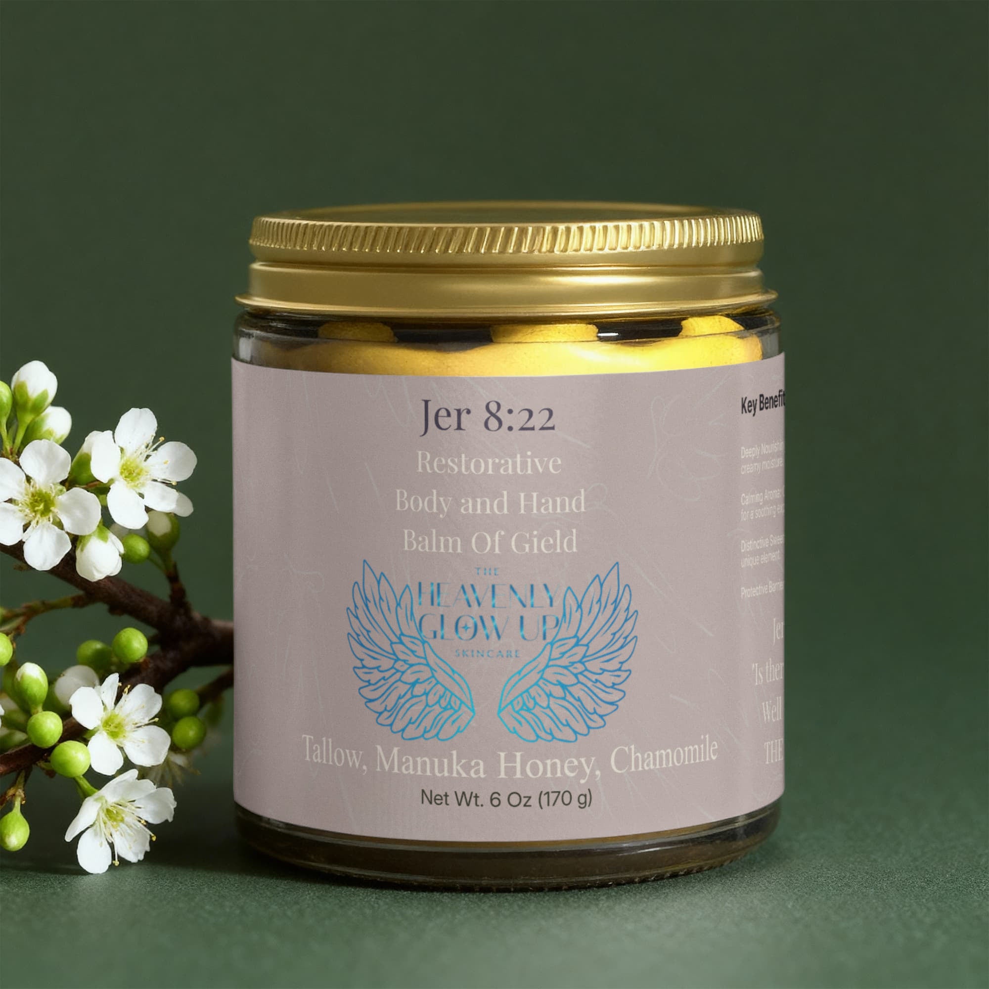 Jeremiah 8:22 The Balm of Gilead